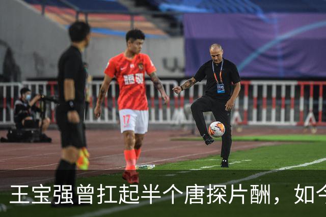 王宝强曾扛起半个唐探片酬，如今《唐探4》没等来他，陈思诚先把肖央推上新桌面